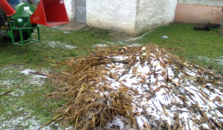 Projekt Zelená škola