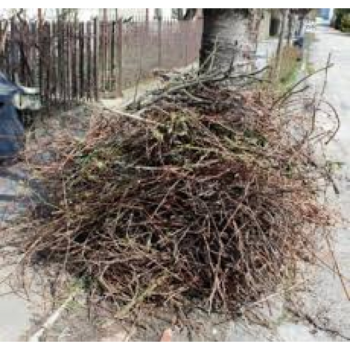Menšia fotka pre článok FA NYESEDÉKEK, GALYAK ELSZÁLITÁSA
