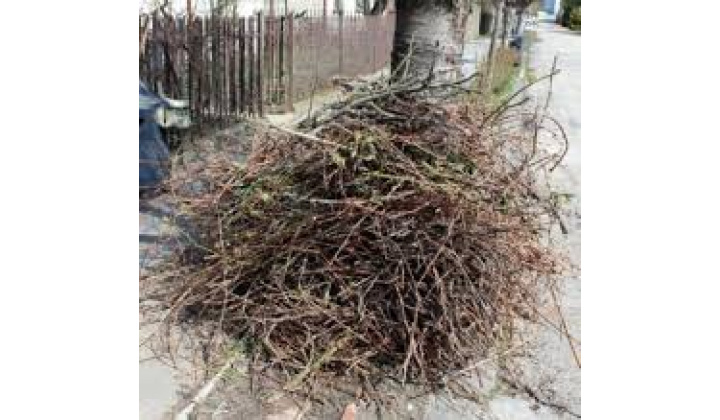 Fotka pre článok FANYESEDÉKEK, GALLYAK , ÁGAK ELSZÁLLÍTÁSA